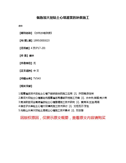 佩鲁加大坝粘土心墙灌浆的补救施工