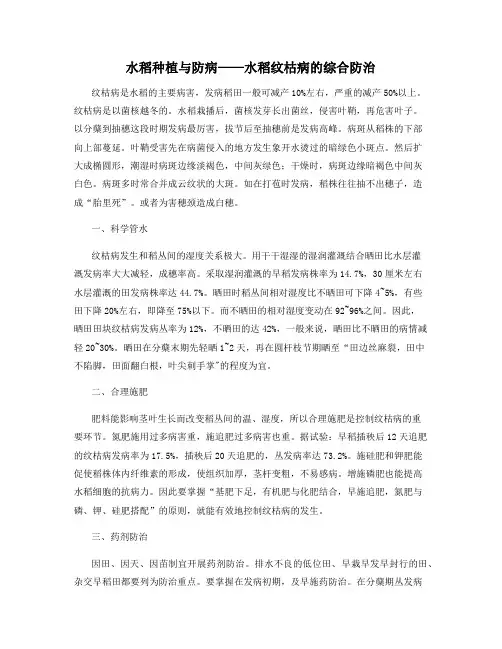 水稻种植与防病——水稻纹枯病的综合防治