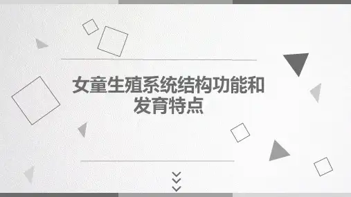 女童生殖系统结构功能和发育特点