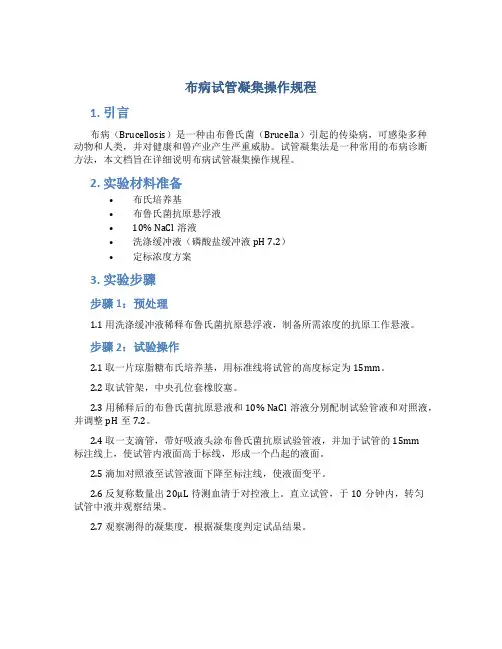 布病试管凝集操作规程