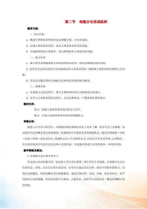 七年级生物上册  第二节 细胞分化形成组织教案