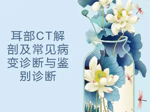 耳部CT解剖及常见病变诊断与鉴别诊断
