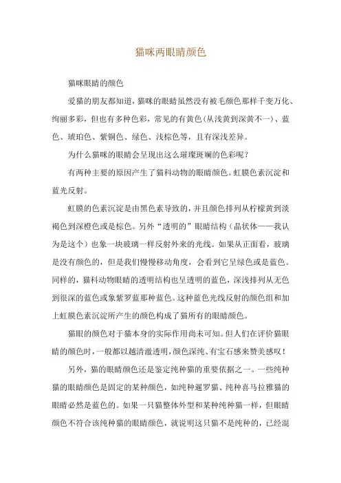 猫咪两眼睛颜色