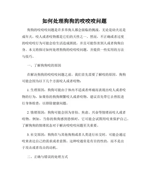 如何处理狗狗的咬咬咬问题