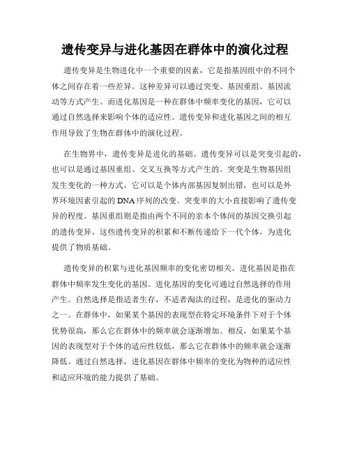 遗传变异与进化基因在群体中的演化过程