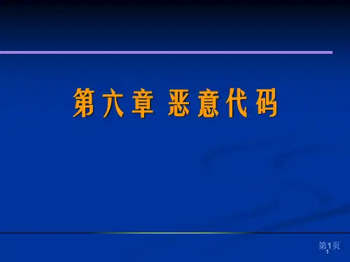 恶意代码PPT演示文稿