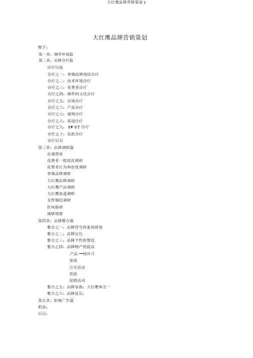 大红鹰品牌营销策划1