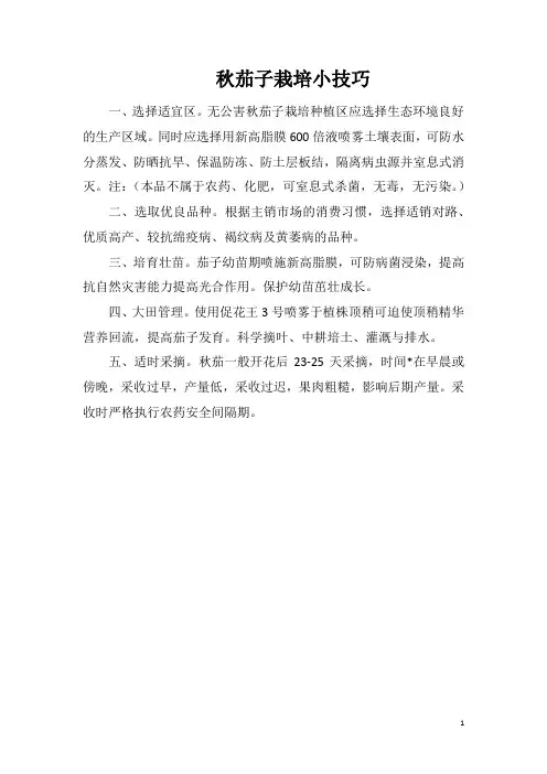 秋茄子栽培小技巧