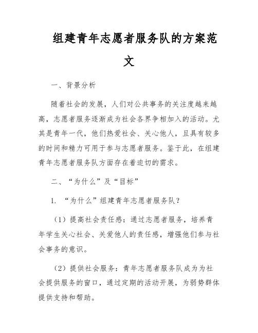 组建青年志愿者服务队的方案范文