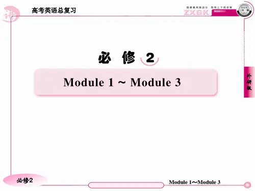 高三英语(外研版)总复习语法课件：专项语法突破(3)非谓语动词