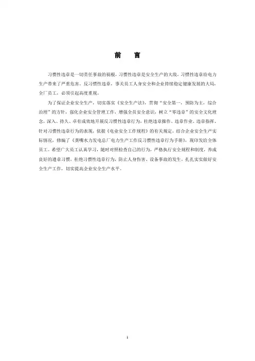 2018年电力生产工作反习惯性违章行为手