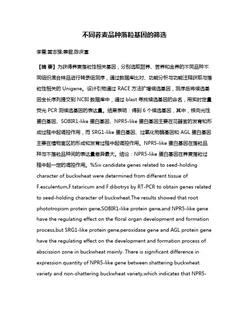 不同荞麦品种落粒基因的筛选