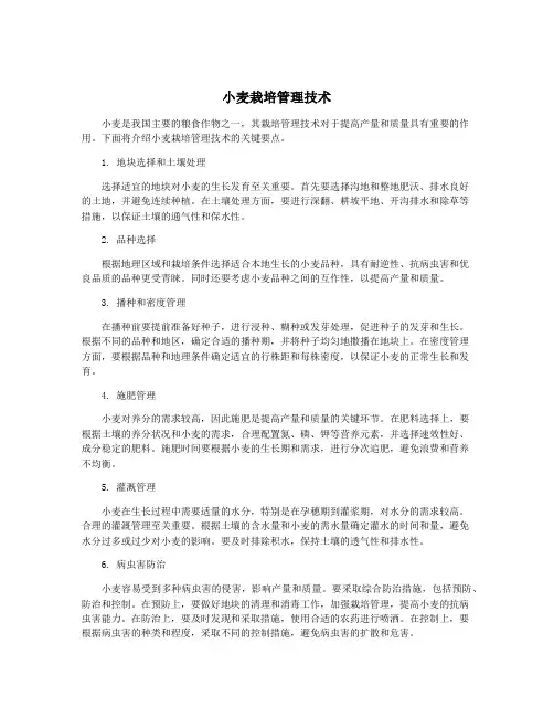小麦栽培管理技术