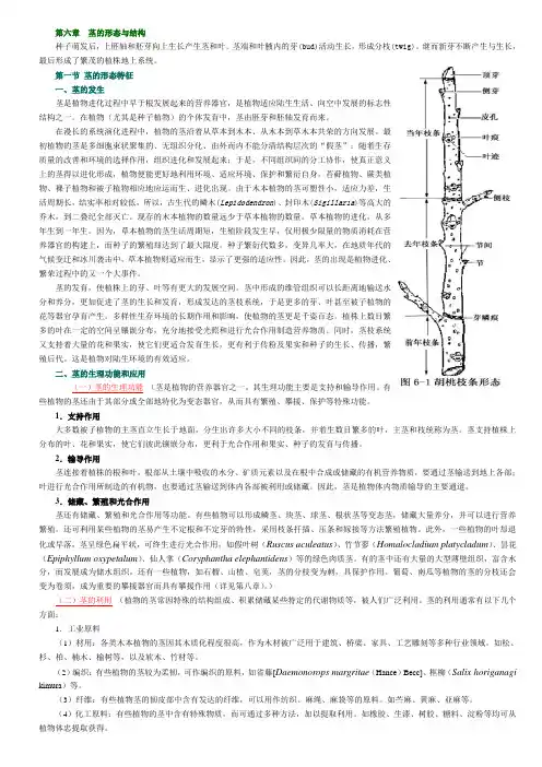植物茎的形态与结构