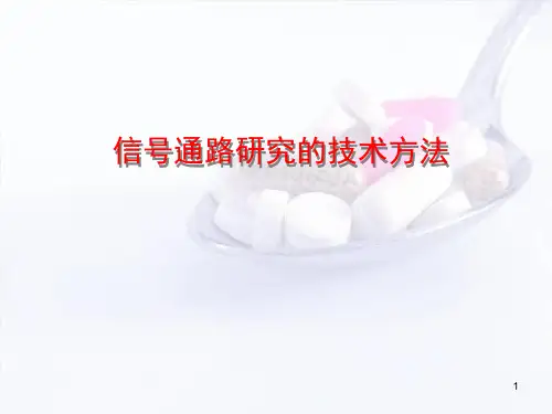(优质医学)信号通路研究的技术方法