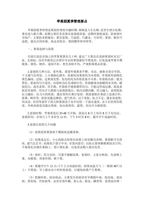 苹果园夏季管理要点