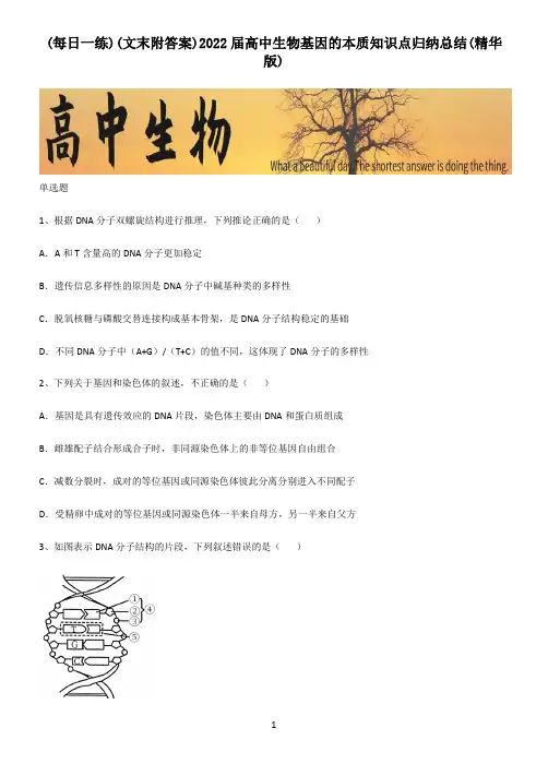 (文末附答案)2022届高中生物基因的本质知识点归纳总结(精华版)