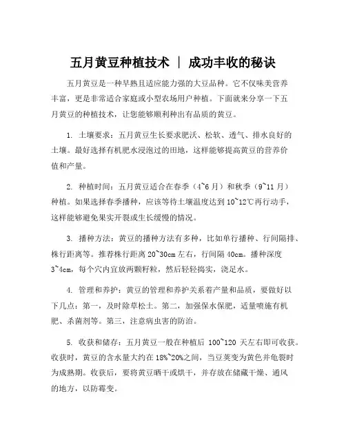 五月黄豆的种植技术