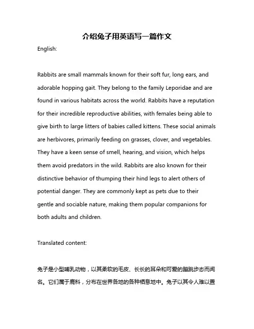 介绍兔子用英语写一篇作文