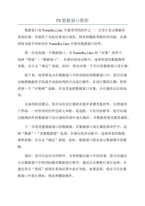 PB数据窗口教程