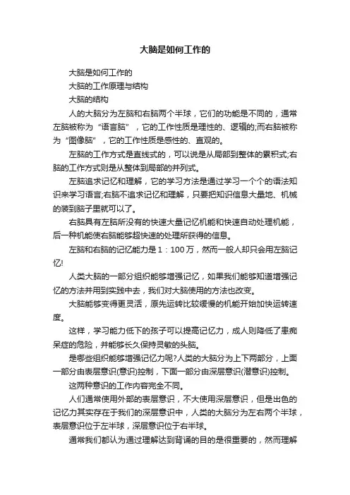 大脑是如何工作的