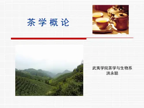 茶学概论 第一章 茶的起源与传播(2学时)