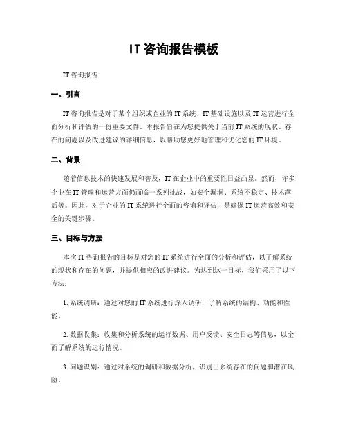 IT咨询报告模板