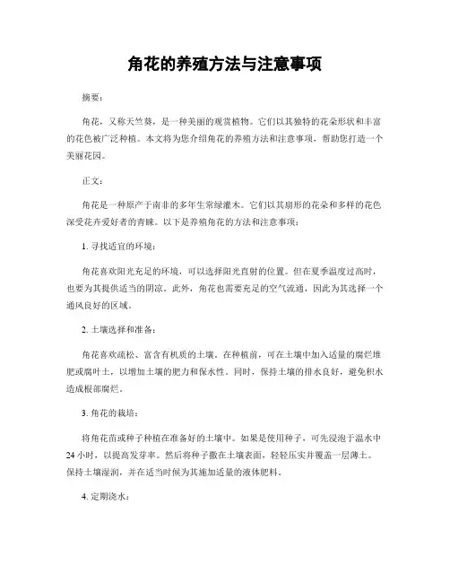 角花的养殖方法与注意事项