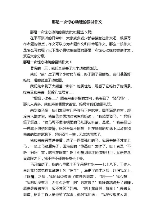那是一次惊心动魄的尝试作文