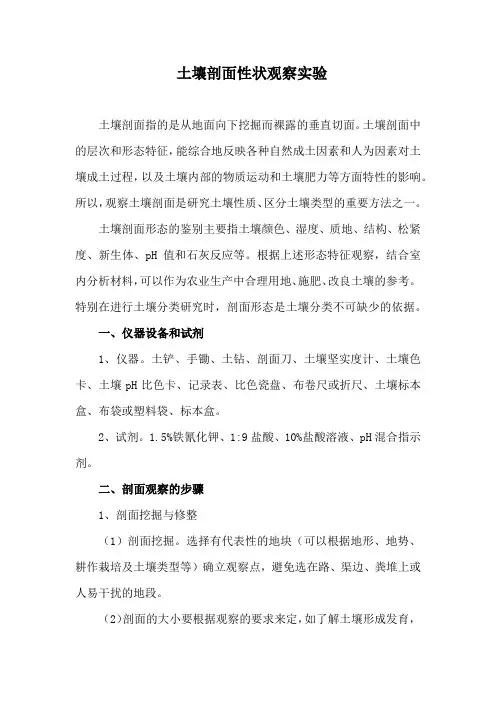 土壤剖面性状观察实验