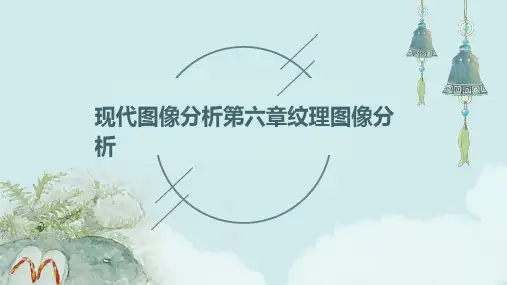 (现代图像分析)第六章纹理图像分析