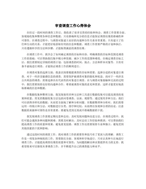 审查调查工作心得体会