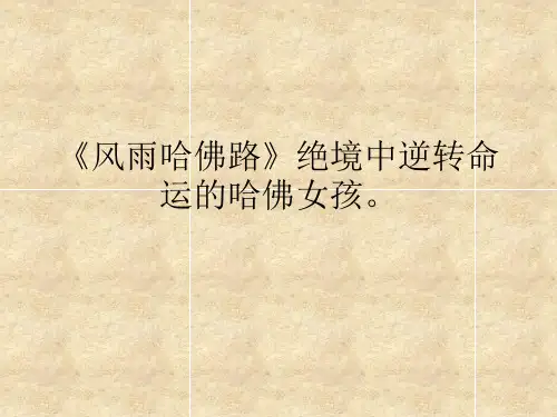 风雨哈佛路-(1)