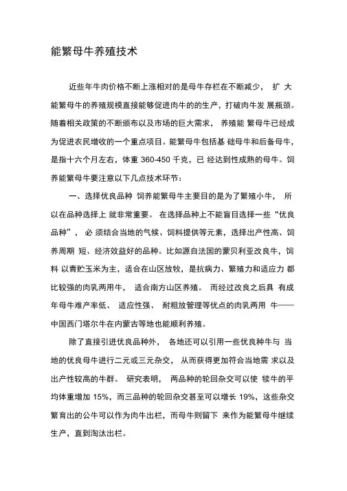 能繁母牛养殖技术