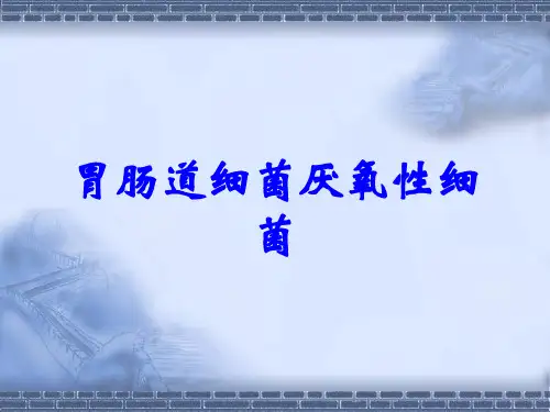 胃肠道细菌厌氧性细菌