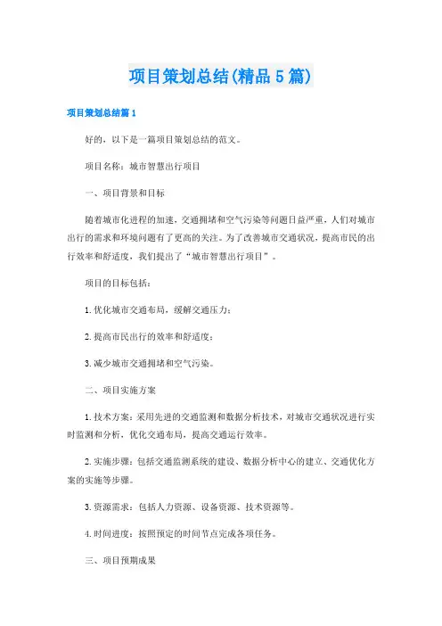 项目策划总结(精品5篇)