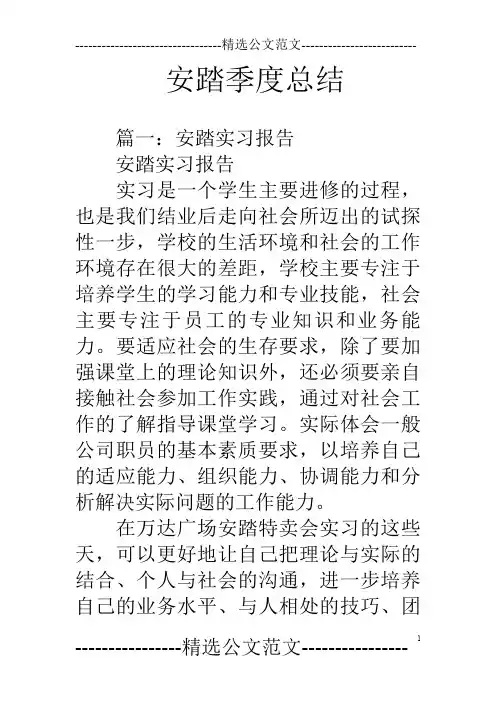 安踏季度总结