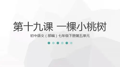 第19课 《一棵小桃树》 课件 (共34张PPT)