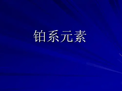铂系元素王学汉