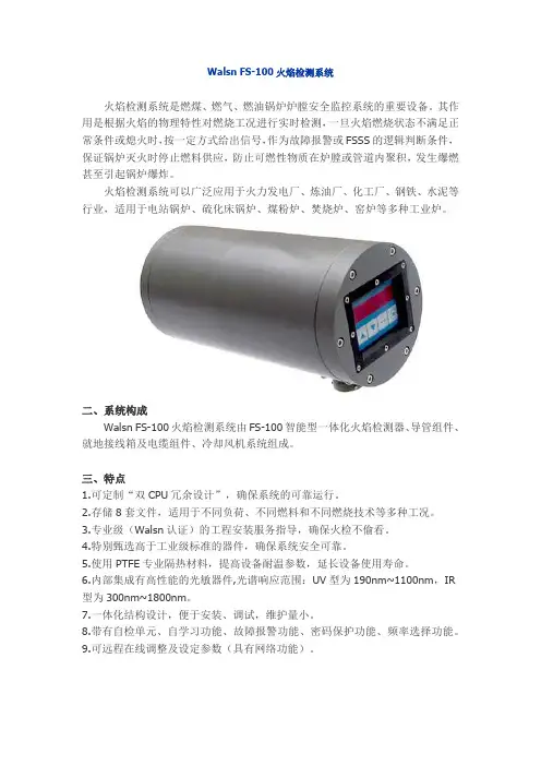Walsn FS-100火检资料