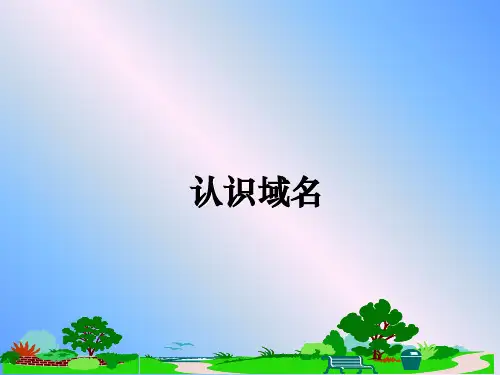 最新认识域名ppt课件