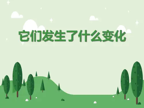 教科版三年级科学上册 (它们发生了什么变化)教育教学课件