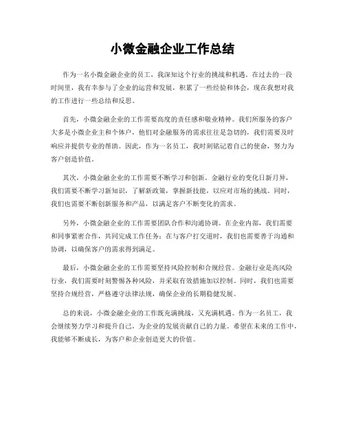 小微金融企业工作总结