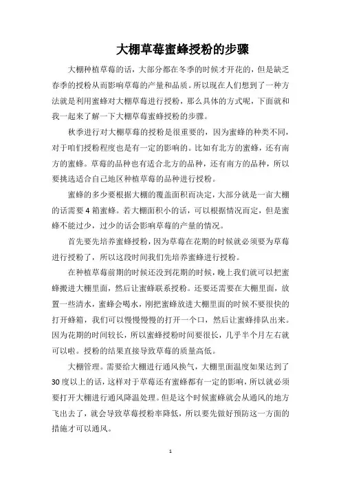 大棚草莓蜜蜂授粉的步骤