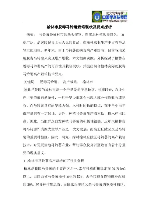 榆林市脱毒马铃薯栽培现状及要点探析