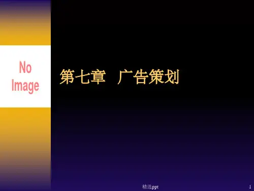 《广告策划》PPT课件 (2)