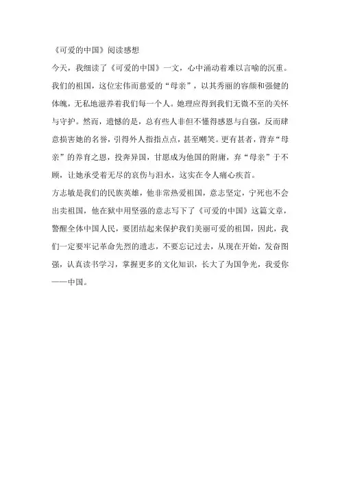 《可爱的中国》阅读感想