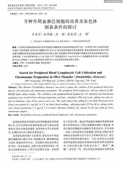 牙鲆外周血淋巴细胞的培养及染色体制备条件的探讨
