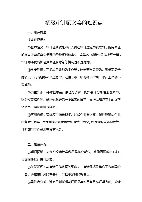初级审计师必会的知识点