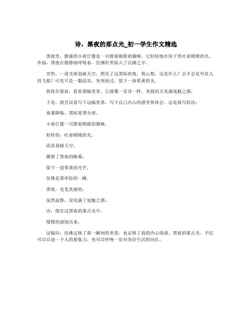 诗,黑夜的那点光_初一学生作文精选